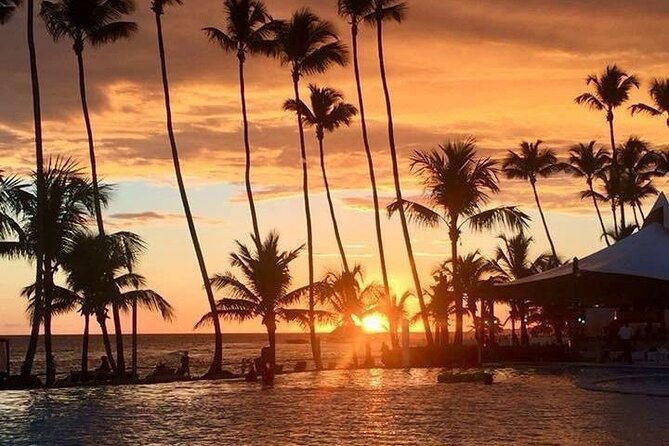 Private Transfer From Punta Cana Airport to Cap Cana, Cabeza de Toro and Bavaro - Where You’ll Meet Your Driver in Punta Cana