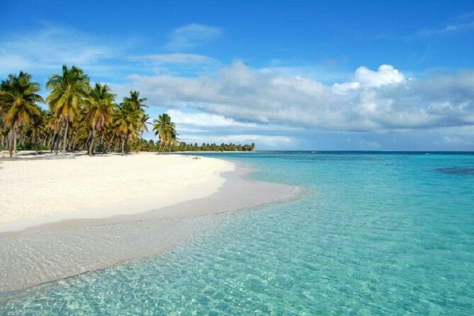 Private Transfer From Punta Cana Airport to Cap Cana, Cabeza de Toro and Bavaro - Choosing Cap Cana, Cabeza de Toro, or Bavaro (and What It Means)