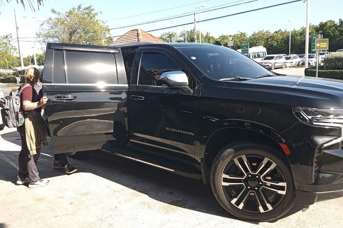 Private Transfer from Punta Cana Airport to Hotels - Who this transfer fits best (and who might want alternatives)
