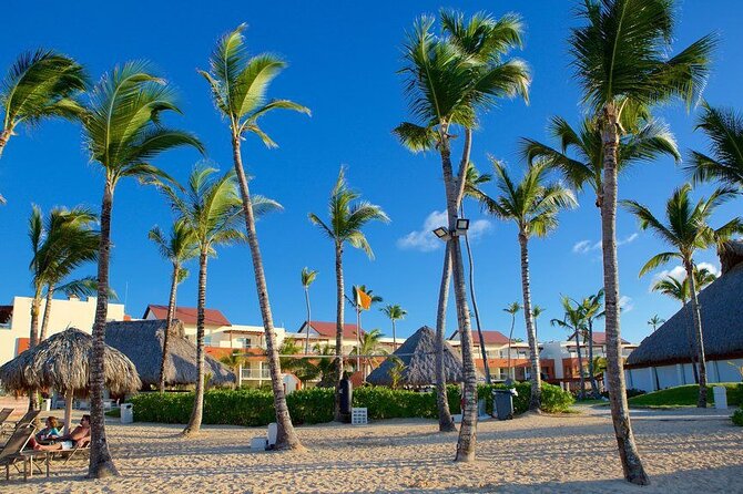 Private Transfer from Punta Cana Airport to Zona Hotels - Key Things to Know at a Glance