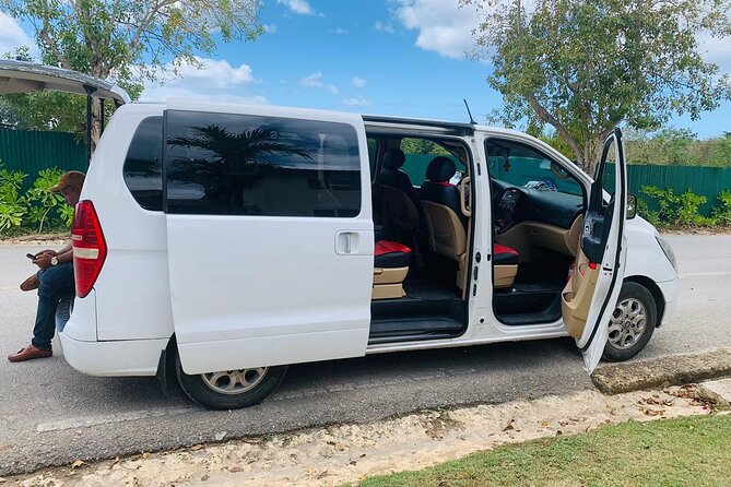 Private Transfer from Santo Domingo Airport to Bayahibe - From Las Américas Airport to your Bayahibe hotel: what to expect