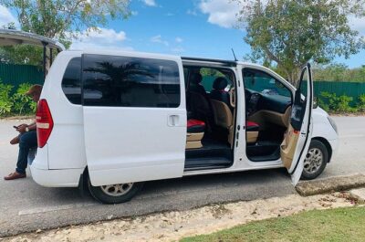 Private Transfer from Santo Domingo Airport to Bayahibe - How the timing works (and where you should stay flexible)