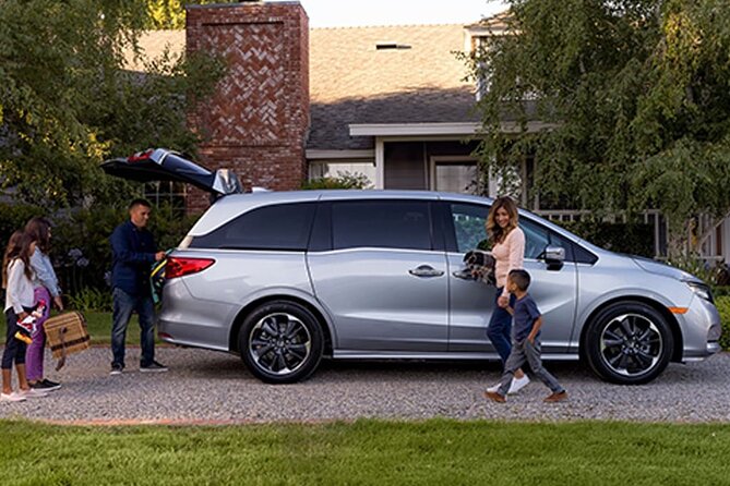 Private Transfer from Santo Domingo to Bayahibe - La Romana - What private service changes for your day