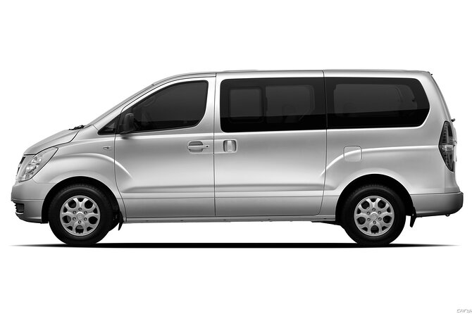Private Transfer in Punta Cana from Airport and Hotels - Private transfer logistics: what the mobile ticket and confirmation mean