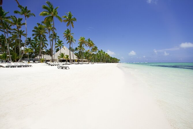 Private Transfer Punta Cana Airport to/from Barcelo Bavaro Beach - Arriving at Barcelo Bavaro Beach: What the Drop-Off Changes