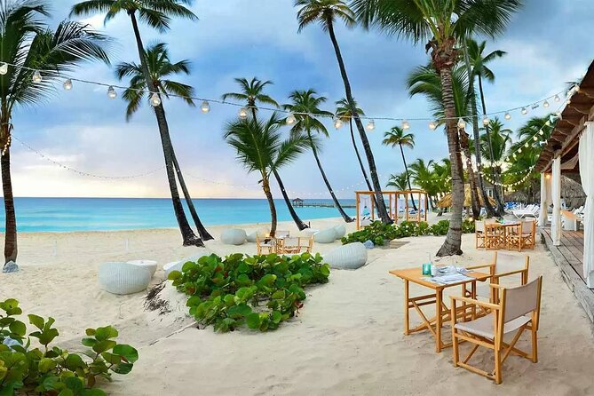 Private Transfer Punta Cana Airport to/from Catalonia Royal La Romana - Inside the 55-Minute Ride: Comfort, Views, and Zero Detours