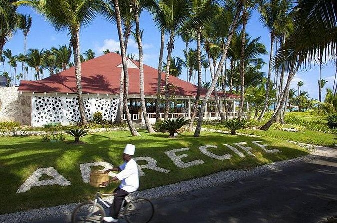 Private Transfer Punta Cana Airport to/from Grand Palladium Palace Punta Cana - Return transfer to PUJ: hotel lobby timing and a clean departure