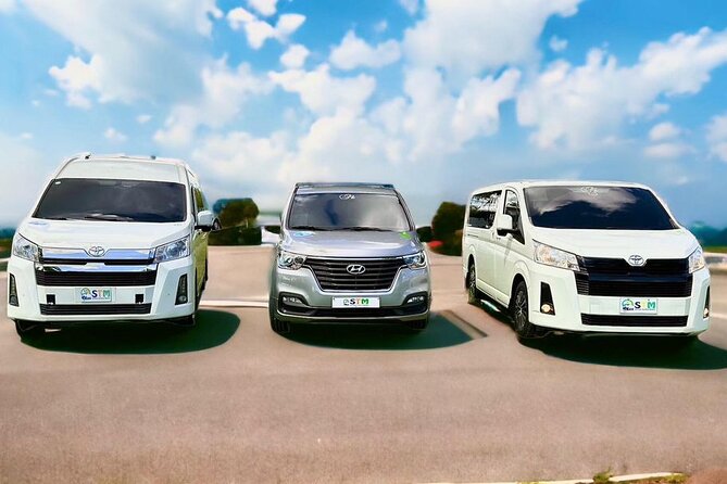 Private Transfer to/from Punta Cana Airport - The ride itself: private, quick, and built for comfort