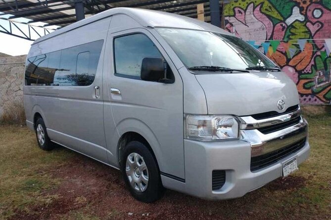 Private Transfers in PUNTA CANA AIRPORT - Pickup Timing and Communication: The Stuff That Can Go Wrong