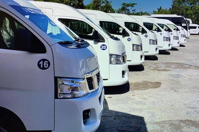 Private Transfers in PUNTA CANA AIRPORT - One Route, One Direction: How to Avoid the Round-Trip Surprise