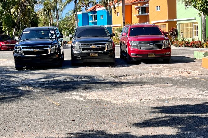Private Transfers PuntaCana Airport to Uvero Alto Hotels in Dominican Republic - Who should book this transfer (and who might pause)