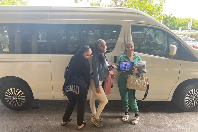 Private Transportation to and from the Punta Cana Airport - Sedan vs minivan vs minibus: choosing the right fit