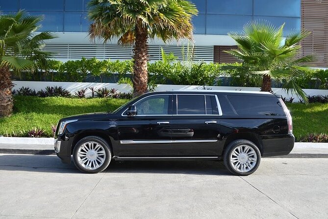 Private VIP Suv and Minivan Airport Transfer around Punta Cana - Name-Sign Pickup: How You Avoid the Airport Chaos