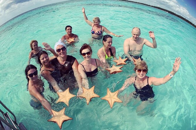 PRIVATE VIP tour Saona Island with Snorkeling, Starfish, Turtles - Mangroves and sea turtles: the quiet wildlife segment