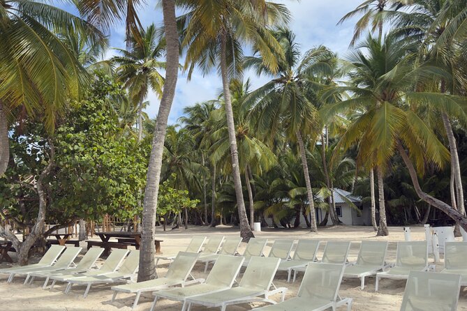 PRIVATE VIP tour Saona Island with Snorkeling, Starfish, Turtles - The staff and service level that keeps it smooth