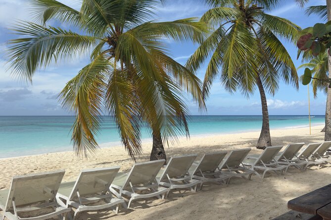 PRIVATE VIP tour Saona Island with Snorkeling, Starfish, Turtles - Should you book Private VIP Saona with snorkeling, starfish, and turtles?