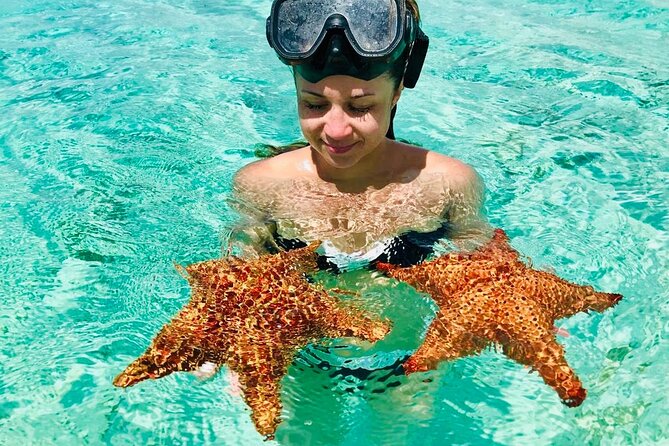 PRIVATE VIP tour Saona Island with Snorkeling, Starfish, Turtles - Isla Saona at Abanico Beach: five hours that actually feel like vacation