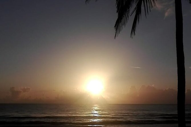 Professional surf lessons Dominican Republic, Cabarete, Encuentro - Meet Victor Bobo Peralta and what you’ll learn first