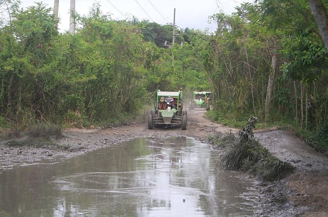 Puerto Plata Dune Buggy Adventure - Amber cove & Taino Bay - Driving Reality Check: Steering, Splashing, and Getting Around