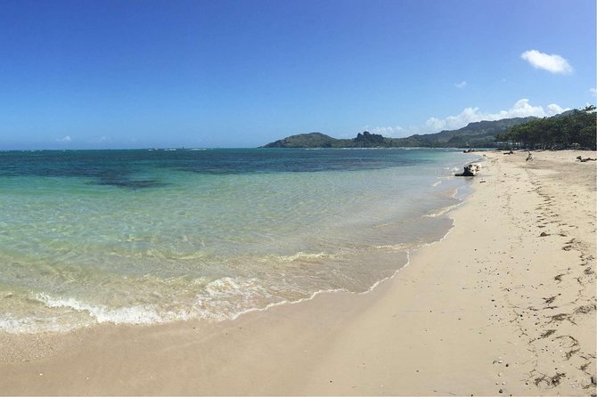 Puerto Plata Shore Excursion: ATV adventure for Amber Cove & Taino Bay Passenger - Key highlights you’ll actually care about