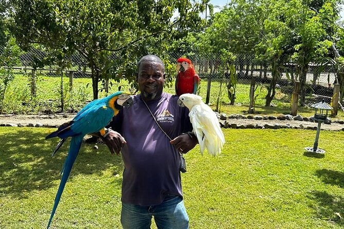 Puerto Plata Sightseeing and Countryside | Amber Cove & Taino Bay - Getting Your Bearings in Puerto Plata’s Center