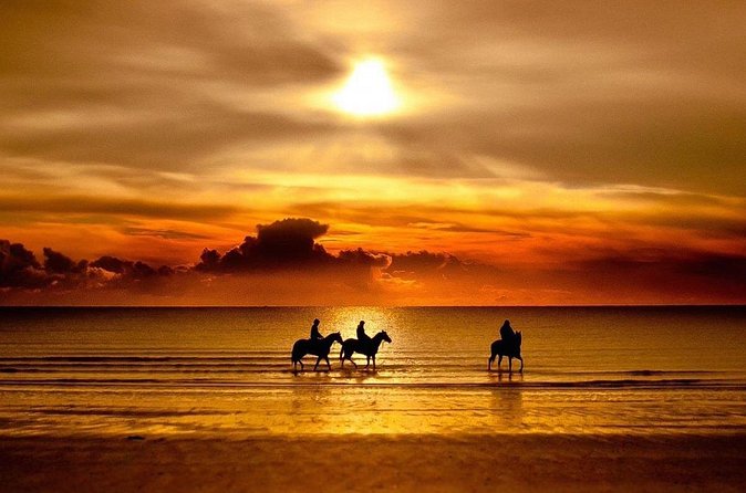 Puerto Plata: Sunset Beach Horseback Riding - Stop for Soft Drinks: Where the Ocean Moment Gets Real