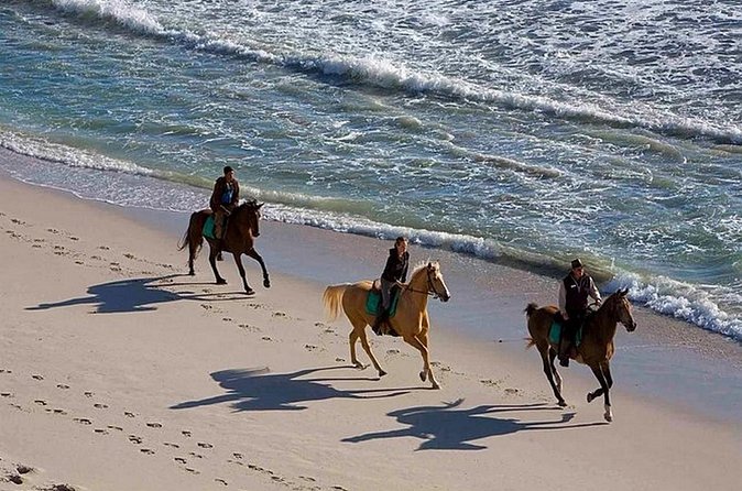 Puerto Plata: Sunset Beach Horseback Riding - Optional Ocean Swim and the Horse Comfort Factor