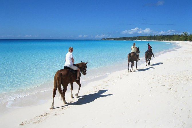 Puerto Plata: Sunset Beach Horseback Riding - What the Ranch Drive Adds (Rancho Lorilar, Muñoz, and San Peña)