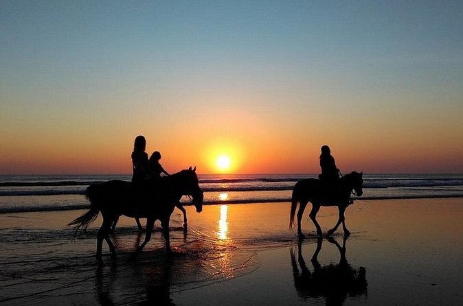 Puerto Plata: Sunset Beach Horseback Riding - Meet the Horses: Tamarindo and Elvis (Expect Calm, Friendly Mounts)