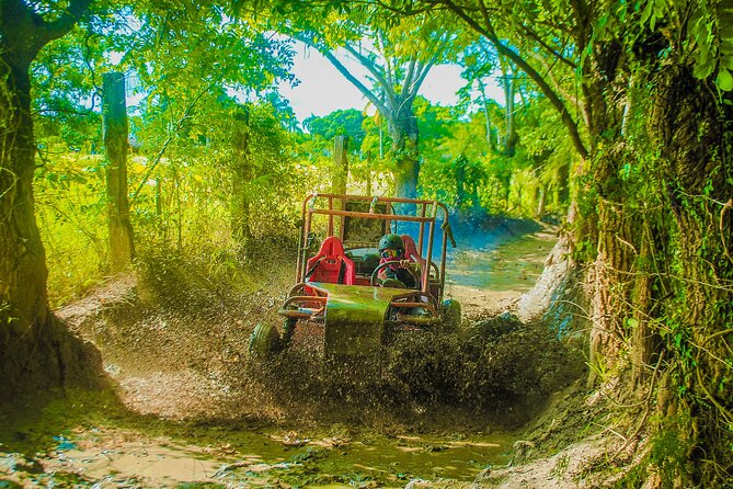 Punta Cana 4 Hours Buggy Tour Cave Macao Beach Free Pick Up - The Rural Stop: Coffee, Cocoa, and a Quiet Look at Local Life