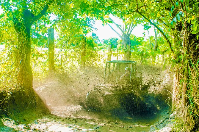 Punta Cana 4 Hours Buggy Tour Cave Macao Beach Free Pick Up - Should You Book This Punta Cana Buggy and Macao Beach Tour?