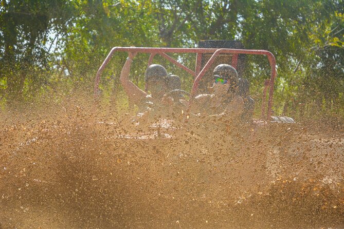 Punta Cana: 4 Hours Tour in Cueva Playa Horseback Riding - Price and value: is $79 fair for this mix?