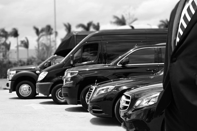 Punta Cana Airport Pick Up - Hotel Transportation Service - Key highlights worth planning for