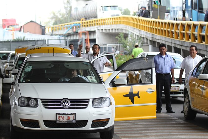 Punta Cana Airport Pick Up - Hotel Transportation Service - First Steps at Punta Cana: Finding Your Driver Quickly