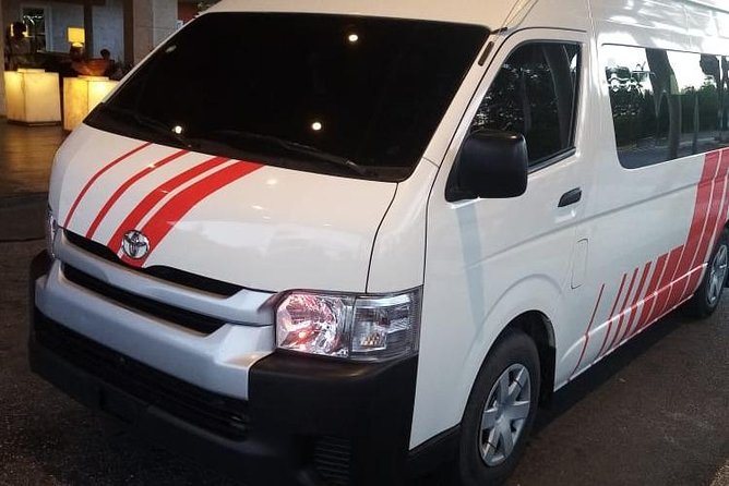 Punta cana airport private shuttle service - What pickup looks like at the airport gate
