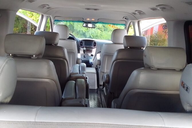 Punta Cana Airport PUJ Transfer Roundtrip to Hotels - Inside the Air-Conditioned Minivan: Direct to Your Hotel in Bávaro