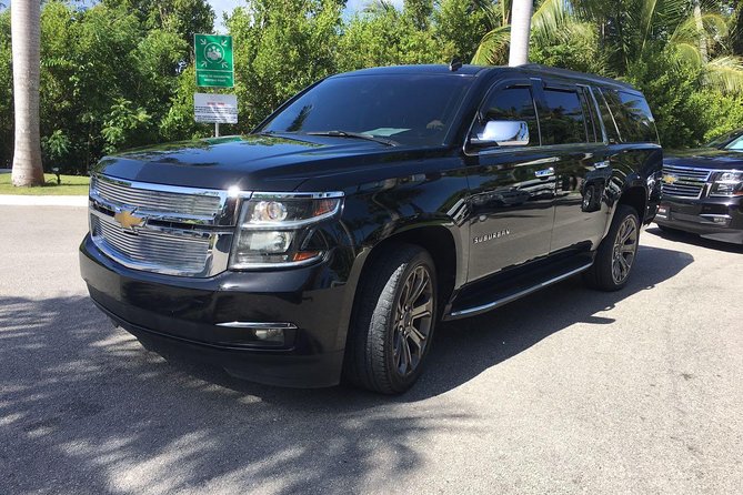 Punta Cana Airport to Punta Cana Hotels (up to 35 km) - Finding your driver at Punta Cana Airport (the part that usually stresses people)