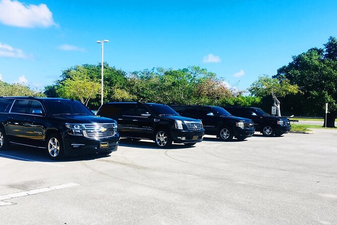 Punta Cana Airport Transfer Bavaro Suburban Trip - The Route Between Punta Cana and Bávaro: What It Feels Like