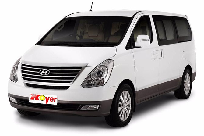 Punta Cana Airport Transfer Service - Pickup-to-Hotel Timing: The 20–40 Minute Window