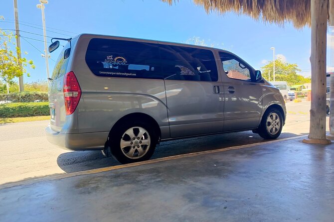 Punta Cana: Airport Transfer to Hotel In RD / Fast & Safe - Finding your driver at PUJ without wandering
