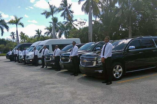Punta Cana Airport Transfers - Arrival Timing: The Moment You Judge Every Transfer