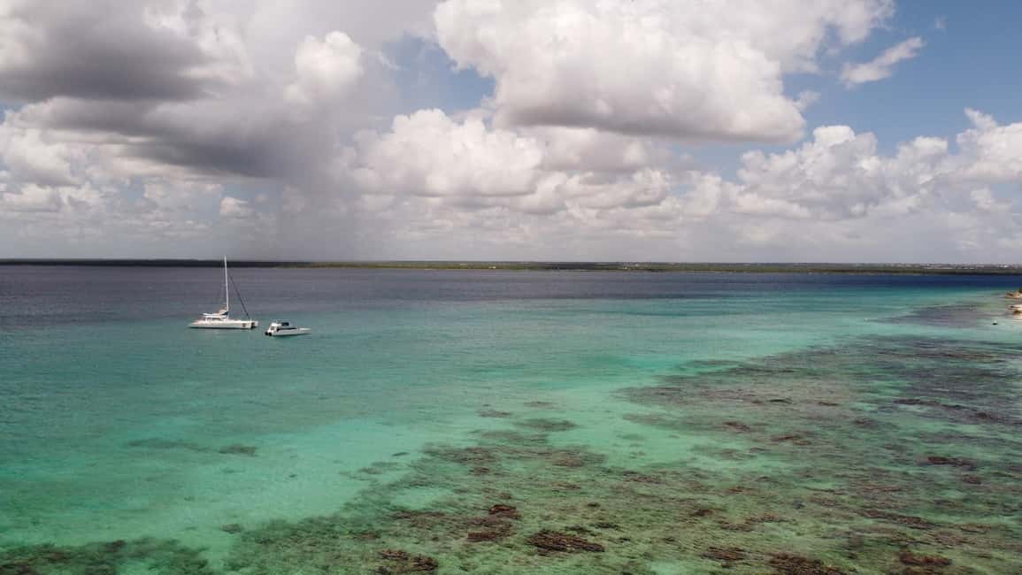 Punta Cana: All Inclusive Saona Island Experience - Saona Island Beaches, Mangroves, and Reef-Wildlife Encounters