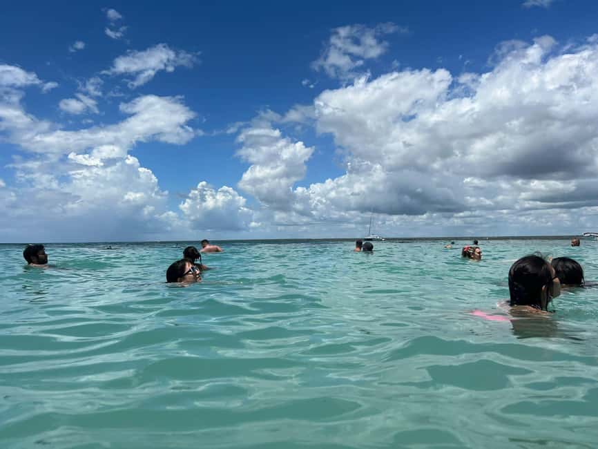 Punta Cana: All Inclusive Saona Island Experience - Playa Palmilla Natural Pool: Starfish in Clear, Shallow Water