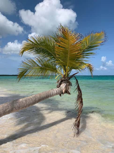 Punta Cana: All Inclusive Saona Island Experience - Who This Tour Fits Best (and Who Should Think Twice)