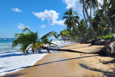 Punta Cana: Amazing ATV Adventure Private Road & Beach W/ PickUp - Cave stop with a quick swim: what to expect
