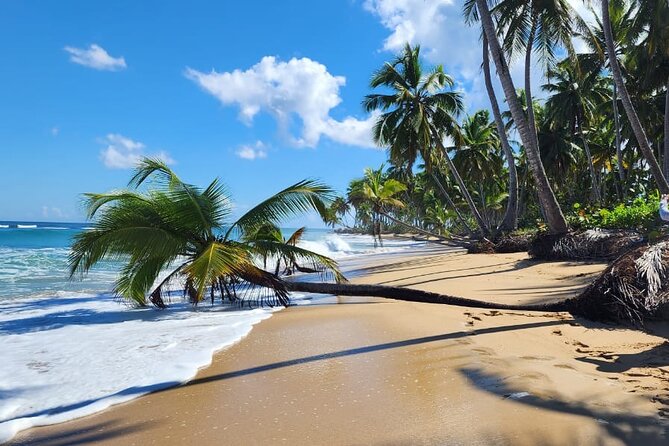 Punta Cana: Amazing ATV Adventure Private Road & Beach W/ PickUp - Cave stop with a quick swim: what to expect