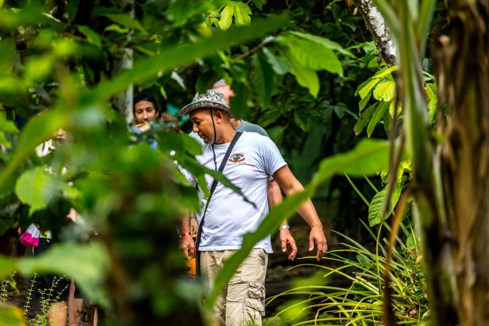 Punta Cana: Anamaya Mountains Walking Tour with Tasting - Quick take: what makes this tour worth your time
