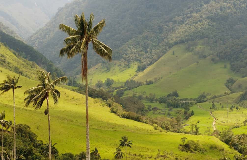 Punta Cana: Anamaya Mountains Walking Tour with Tasting - Anamaya Mountains: why this feels different from the usual Punta Cana day