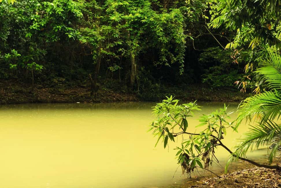 Punta Cana: Anamaya Mountains Walking Tour with Tasting - Value for $49: what you actually get for your money