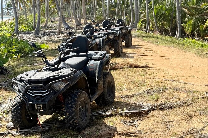 Punta Cana ATV: Jungle, Beach & River Small Group Tour - Riding toward Punta del Coco and the palm grove coconut moment